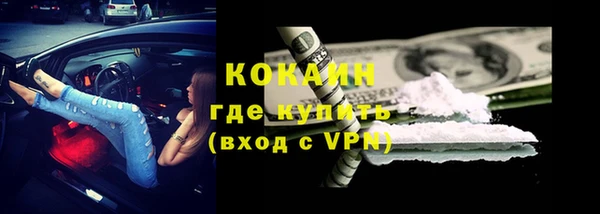 прущие грибы Алексин