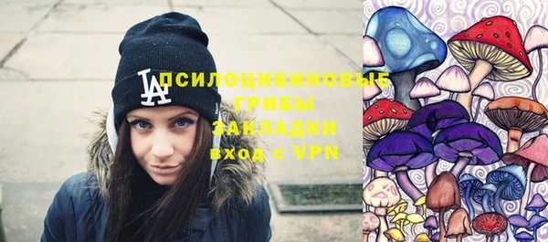 прущие грибы Алексин