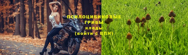крисы Алексеевка