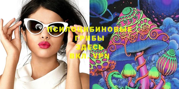 ешки Алзамай