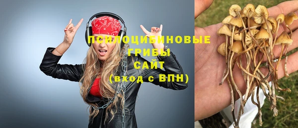 крисы Алексеевка