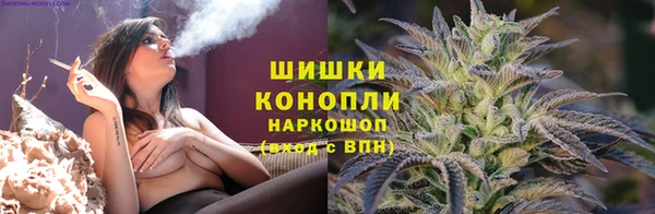 прущие грибы Алексин