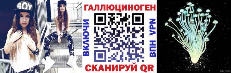 Галлюциногенные грибы Cubensis  Неман 